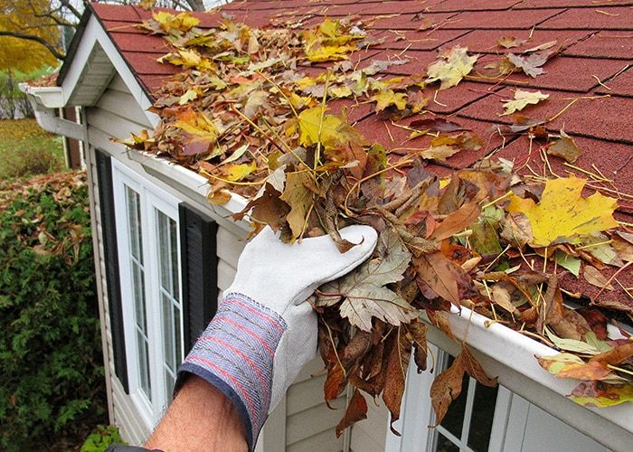 hands cleaning gutters