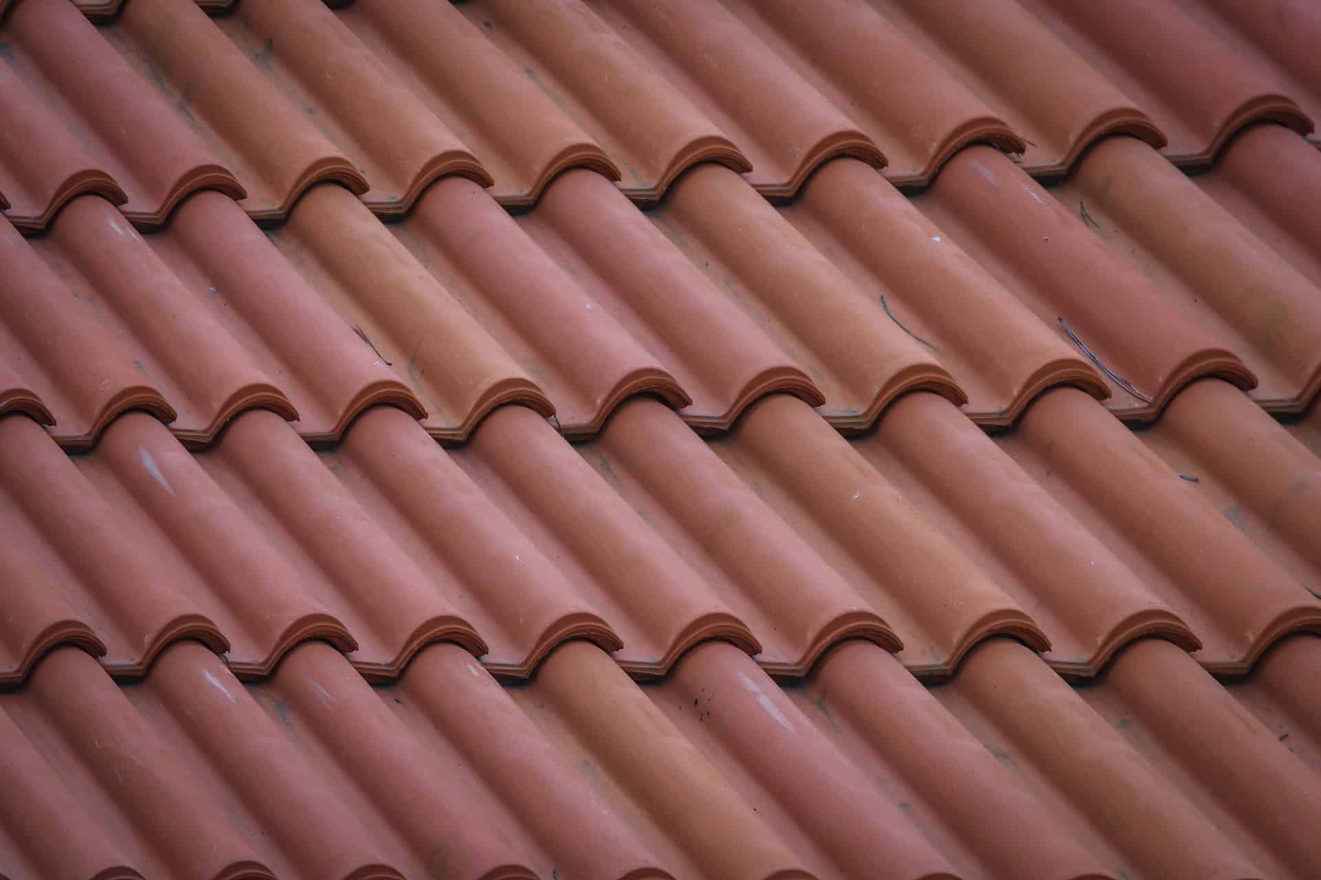 What You Need to Know About Roof Shingle Replacement