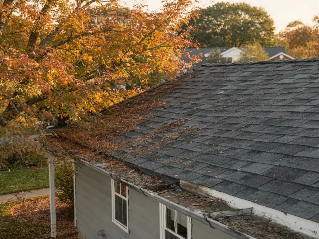 Residential roof with leaf buildup in gutters during autumn showing early signs that a roof inspection may be needed