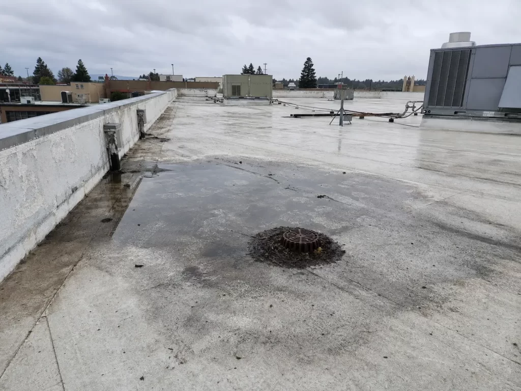 Ponding water around a drain on a flat commercial roof affecting roof lifespan and maintenance needs