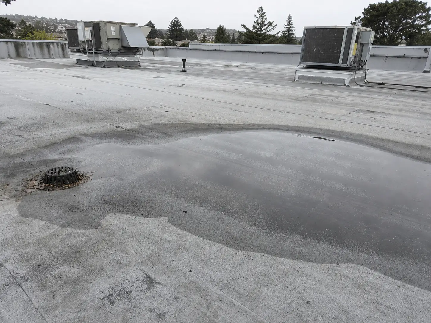 Ponding water collecting beside a roof drain on a weathered commercial flat roof after rainfall.