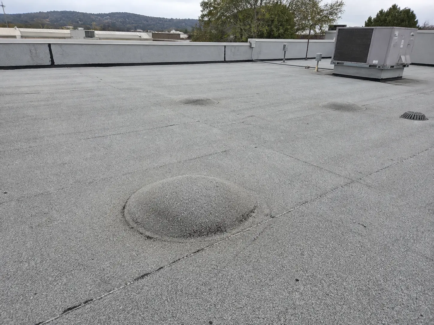 Several raised membrane blisters on a weathered commercial flat roof in the Greater East Bay Area.