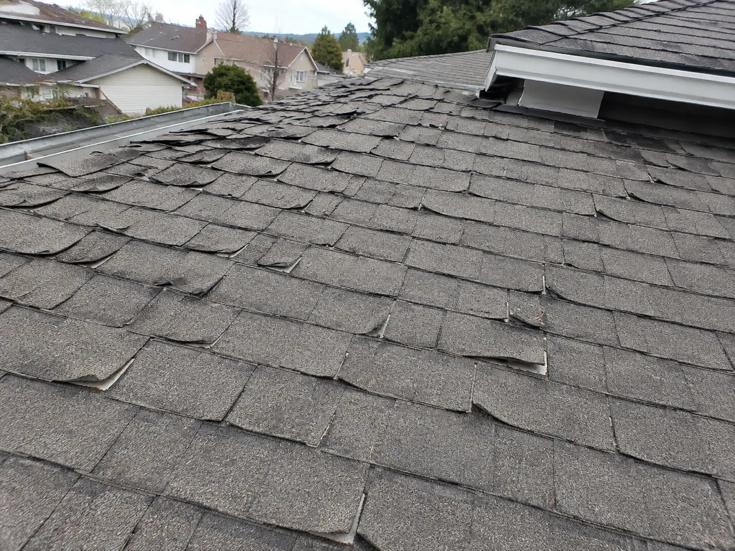 Close-up of weathered asphalt roofing with multiple curling shingles on a Bay Area home.