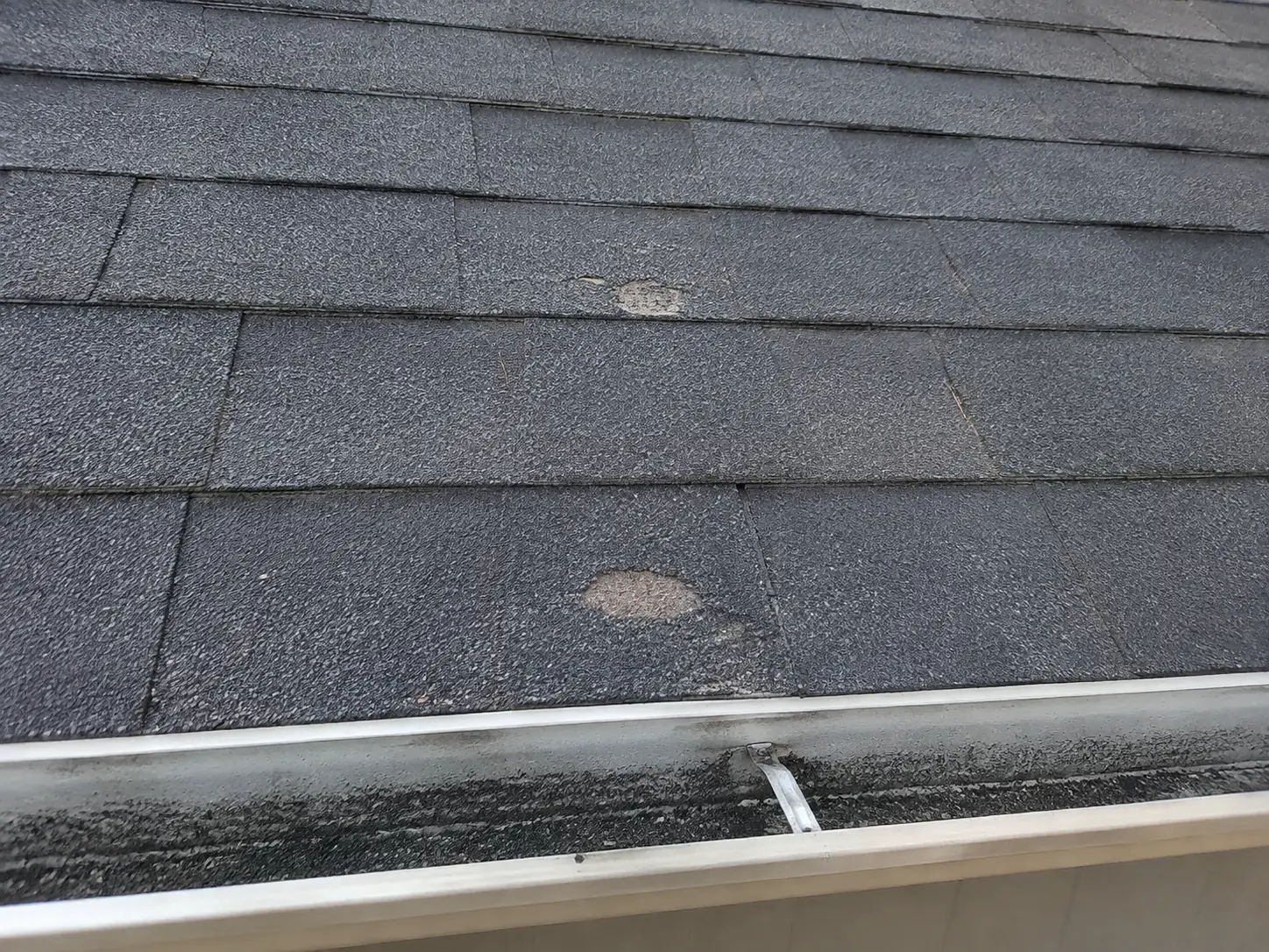 Close-up of worn asphalt shingles and roof granules collected in a residential rain gutter.