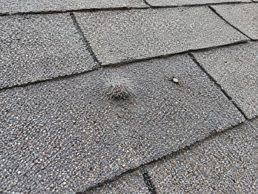 Close view of asphalt shingles showing a raised roof nail and a small puncture in the shingle surface.