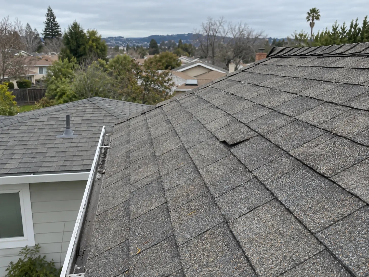Asphalt shingle roof on a Bay Area home with one raised tab that may indicate a roof nail pop.